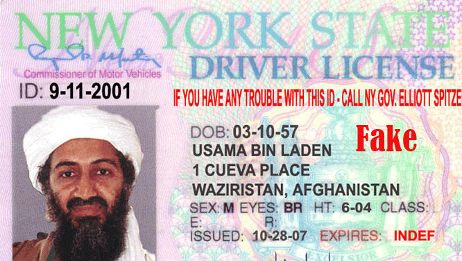 Drivers-License-fake