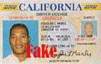 Id-card-fake
